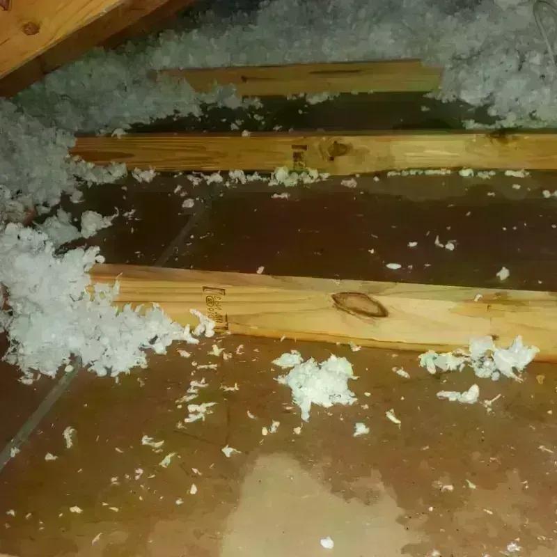 Attic Water Damage in Waterloo, NY