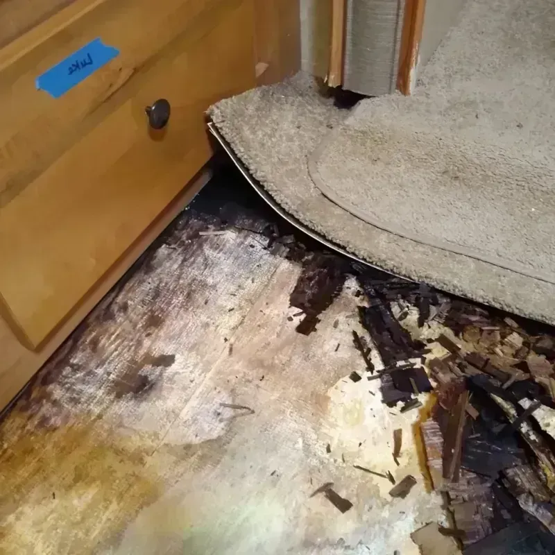 Wood Floor Water Damage in Waterloo, NY